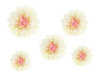Papierblumen creme / rosa 5 Stück
