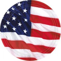 Pappteller USA Flying Colors groß